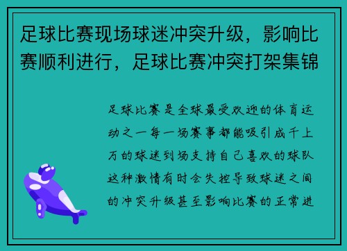 足球比赛现场球迷冲突升级，影响比赛顺利进行，足球比赛冲突打架集锦