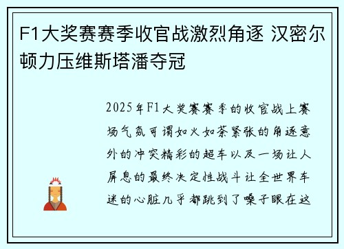 F1大奖赛赛季收官战激烈角逐 汉密尔顿力压维斯塔潘夺冠
